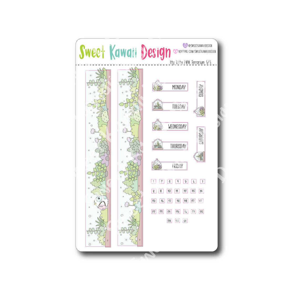 Weekly Kit  - Terrarium ITTY BITTY