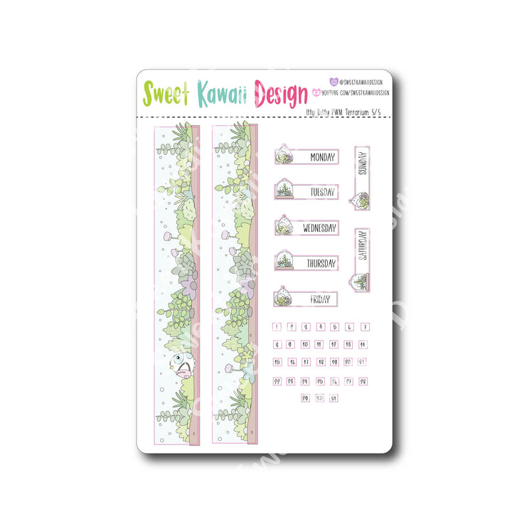 Weekly Kit  - Terrarium ITTY BITTY