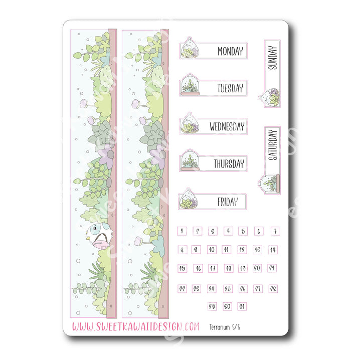 Weekly Kit  - Terrarium HORIZONTAL