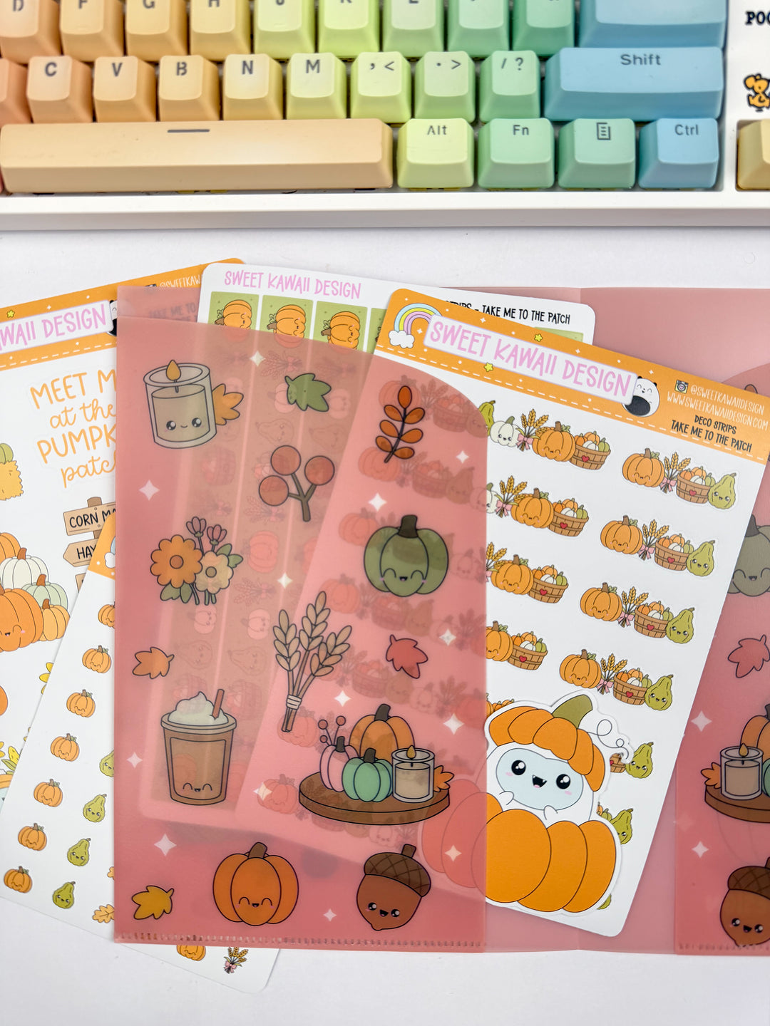 A5 Plastic Folder - Gourd Life