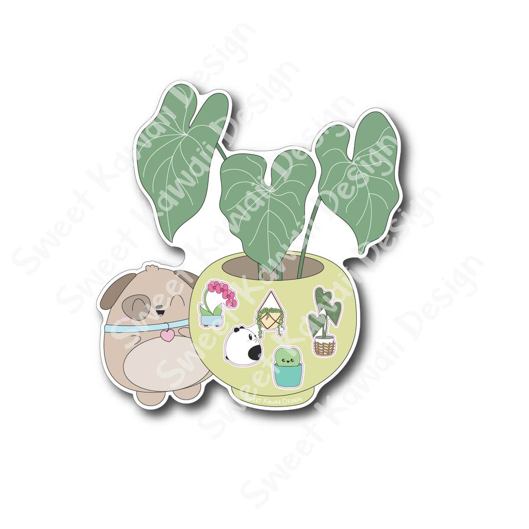 FF Sampler - Biscuit Plants